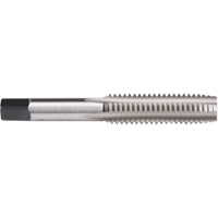 Plug Hand Tap, High Speed Steel, 1-64 Thread Haskins Industrial Inc.