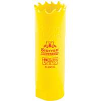 Bi-Metal Holesaw - 13/16", 13/16", 2" Depth of Cut, Bi-Metal Haskins Industrial Inc.