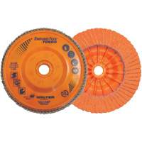 Enduro-Flex Turbo Flap Disc, 4-1/2" x 5/8"-11, 36/60 Grit Haskins Industrial Inc.