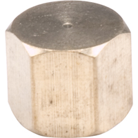 Pipe Caps, Brass Haskins Industrial Inc.