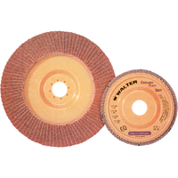 Enduro-Flex Stainless Flap Disc, 4-1/2" x 7/8", Type 27, 40 Grit, Zirconia Alumina Haskins Industrial Inc.