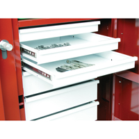 Rolling Work Bench, 49-7/8" W x 40-5/8" H x 26-7/8" D, 24.6 Cubic Feet Capacity Haskins Industrial Inc.