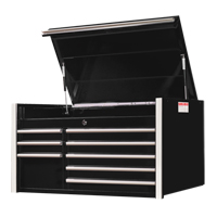 RX Series Tool Chest, 41" W, 8 Drawers, Black Haskins Industrial Inc.