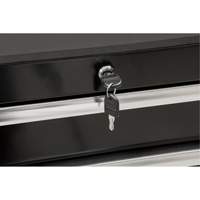 Heavy-Duty Tool Cart, 7 Drawers, 28" W x 22" D x 42-3/8" H, Black Haskins Industrial Inc.