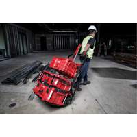 Packout 2-Wheel Cart Haskins Industrial Inc.