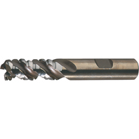 PM Plus Single End Roughers, Powder Metal, 3-Flute, Centre Cutting, Square End, 3/4" Dia. Haskins Industrial Inc.