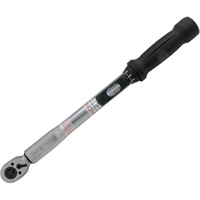 Cl&eacute; dynamom&eacute;trique &agrave; t&ecirc;te fine pour usage intensif, &agrave; cliquer, Entraînement 3/8" carr&eacute;, 10 - 80 lb-pi Haskins Industrial Inc.