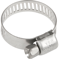 Hose Clamps - Stainless Steel Band & Screw, Min Dia. 0.316, Max Dia. 7/8" Haskins Industrial Inc.