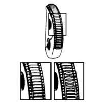 GXL Plate Clamp, 2000 lbs. (1 tons), 1/16" - 3/4" Jaw Opening Haskins Industrial Inc.