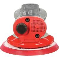 Ponceuse orbitale al&eacute;atoire sans aspiration Elite, Dia 5", Entr&eacute;e 1/4" NPT, 12 000 Tr/min Haskins Industrial Inc.