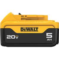 Bloc-piles Max XR Premium, Lithium-ion, 20 V, 5 A Haskins Industrial Inc.