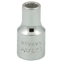 Socket, 3/16", 1/4" Drive, 12 Points Haskins Industrial Inc.