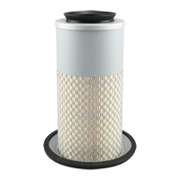 PA3833 &eacute;l&eacute;ment de filtre &agrave; air Haskins Industrial Inc.