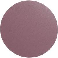 Meule en toile PSA 348D, dia 12", Grain 60, Oxyde d'aluminium, Poids Haskins Industrial Inc.