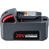 Pile haute capacit&eacute; IQV20, Lithium-ion, 20 V, 5 Ah Haskins Industrial Inc.