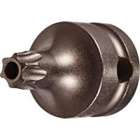 Embout &agrave; ins&eacute;rer, Torx inviolable, 25 x 1" lo, Prise 3/8" Haskins Industrial Inc.