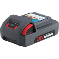 Batterie de s&eacute;rie IQV20, Lithium-ion, 20 V, 2,5 Ah Haskins Industrial Inc.