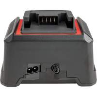 2.5 Ah & 5.0 Ah Battery Charger, 120 V, Lithium-Ion Haskins Industrial Inc.