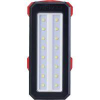 M12 Rover Service & Repair Flood Light with USB Charging, LED, 700 Lumens Haskins Industrial Inc.