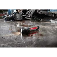 USB Compatible Compact Flashlight, LED, 800 Lumens, Rechargeable Batteries Haskins Industrial Inc.