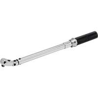 Micrometer Torque Wrench, Click, 1/2" Square Drive, 30 - 250 ft-lbs./54.2 - 352.6 N.m Haskins Industrial Inc.