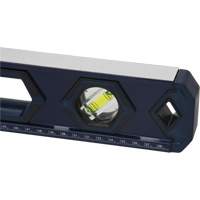 High-Accuracy Level, Box, 2' L, Aluminum, 3, Non-Magnetic Haskins Industrial Inc.