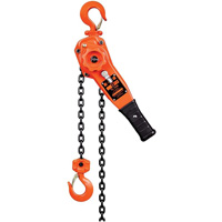 KLP Series Lever Chain Hoist, 5' Lift, 3000 lbs. (1.5 tons) Capacity Haskins Industrial Inc.