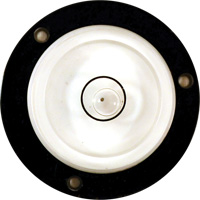 Niveau Bull's-Eye Haskins Industrial Inc.