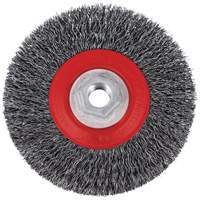 Brosse m&eacute;tallique &agrave; fils torsad&eacute;s &agrave; haut rendement 5C14T, 5" dia., Fils 0,014", Arbre 5/8"-11NC Haskins Industrial Inc.