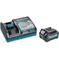 40Vmax XGT 2.5Ah Battery & Fast Charger Starter Kit, 40 V, Lithium-Ion Haskins Industrial Inc.