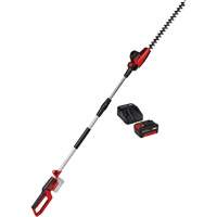 Taille-haie &agrave; perche sans fil avec batterie 4 Ah et ensemble de d&eacute;part de chargeur, 18", 18 V, &agrave; pile Haskins Industrial Inc.
