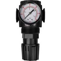 MODULAIR 300 Compressed Air Regulator, 1/2" NPT, 300 psi Max. PSI, In Line/Modular Haskins Industrial Inc.