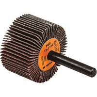 Disques &agrave; lamelles - Meules &agrave; lamelles Coolcut, Oxyde d'aluminium, Grain 60, 1-1/2" x 1" x 1/4" Haskins Industrial Inc.