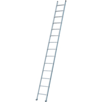 Industrial Heavy-Duty Extension/Straight Ladders, 8', Aluminum, 300 lbs., CSA Grade 1A Haskins Industrial Inc.