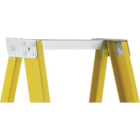 Industrial Heavy-Duty Platform Stepladders (6500 Series), 6', 300 lbs. Cap. Haskins Industrial Inc.