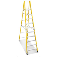 Industrial Heavy-Duty Platform Stepladders (6500 Series), 12', 300 lbs. Cap. Haskins Industrial Inc.