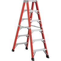 6600 AA Series Industrial Extra Heavy-Duty 2-Way Stepladders, Fibreglass, 375 lbs. Capacity, 4' Haskins Industrial Inc.