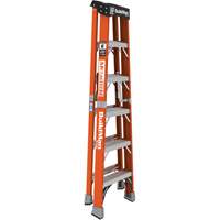 Step Ladder, 6', Fibreglass, 375 lbs. Capacity, Type 1AA Haskins Industrial Inc.