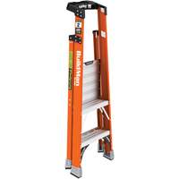 Safespace Platform Step Ladder, 2', 300 lbs. Cap. Haskins Industrial Inc.