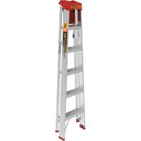 Step Ladder with Paint Tray, 6', Aluminum, 200 lbs. Capacity, Type 3 Haskins Industrial Inc.
