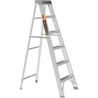 Step Ladder, 6', Aluminum, 225 lbs. Capacity, Type 2 Haskins Industrial Inc.