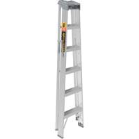 Step Ladder, 6', Aluminum, 225 lbs. Capacity, Type 2 Haskins Industrial Inc.