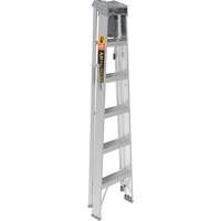 Step Ladder with Paint Tray, 6', Aluminum, 225 lbs. Capacity, Type 2 Haskins Industrial Inc.