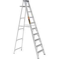 Step Ladder with Paint Tray, 10', Aluminum, 225 lbs. Capacity, Type 2 Haskins Industrial Inc.