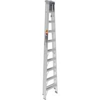 Step Ladder with Paint Tray, 10', Aluminum, 225 lbs. Capacity, Type 2 Haskins Industrial Inc.
