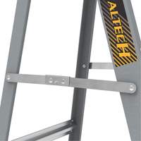 Step Ladder with Paint Tray, 6', Fibreglass, 225 lbs. Capacity, Type 2 Haskins Industrial Inc.