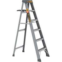 Step Ladder with Paint Tray, 6', Fibreglass, 225 lbs. Capacity, Type 2 Haskins Industrial Inc.