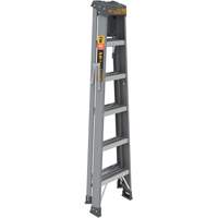 Step Ladder with Paint Tray, 6', Fibreglass, 225 lbs. Capacity, Type 2 Haskins Industrial Inc.