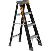 Step Ladder, 4', Fibreglass, 250 lbs. Capacity, Type 1 Haskins Industrial Inc.