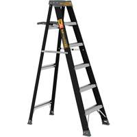 Step Ladder with Paint Tray, 6', Fibreglass, 250 lbs. Capacity, Type 1 Haskins Industrial Inc.